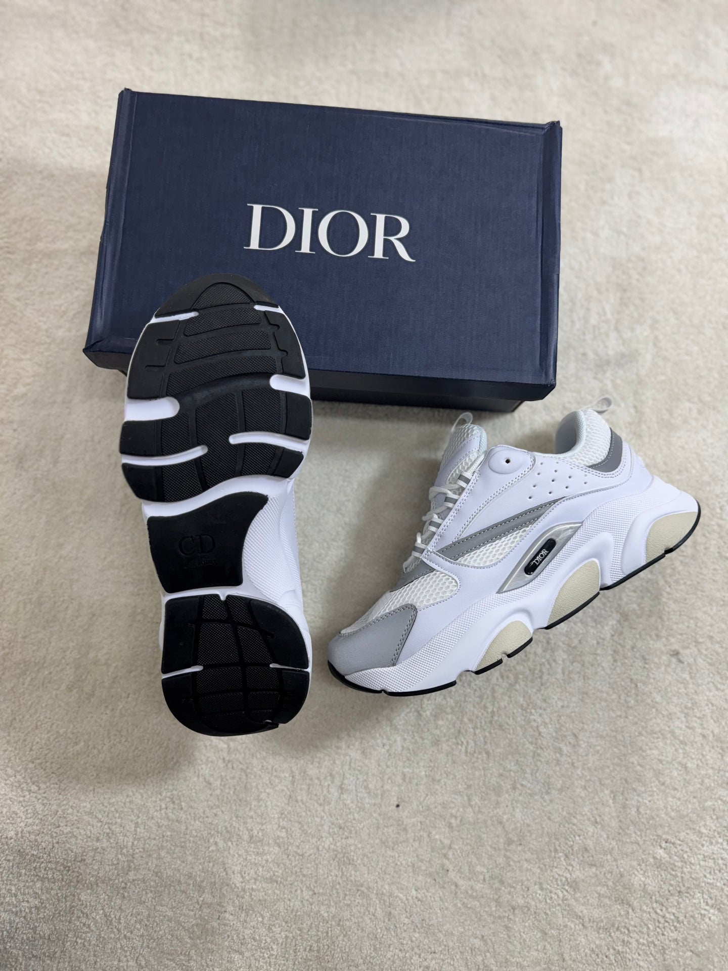 Dior B22 - White/Grey