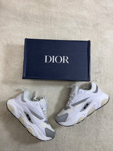 Dior B22 - White/Grey