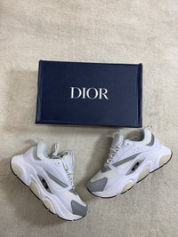 Dior B22 - White/Grey
