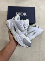 Dior B22 - White/Grey