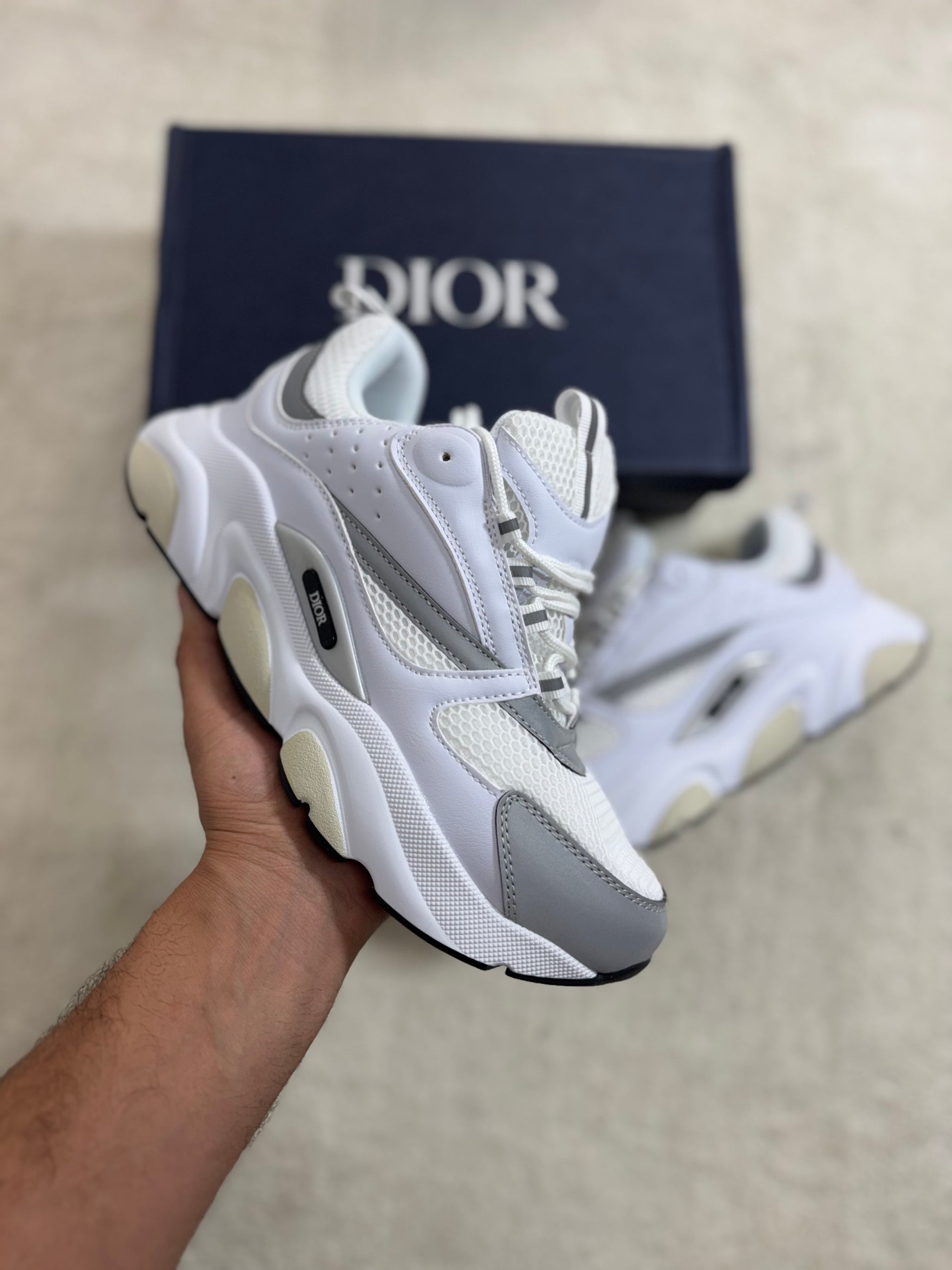 Dior B22 - White/Grey