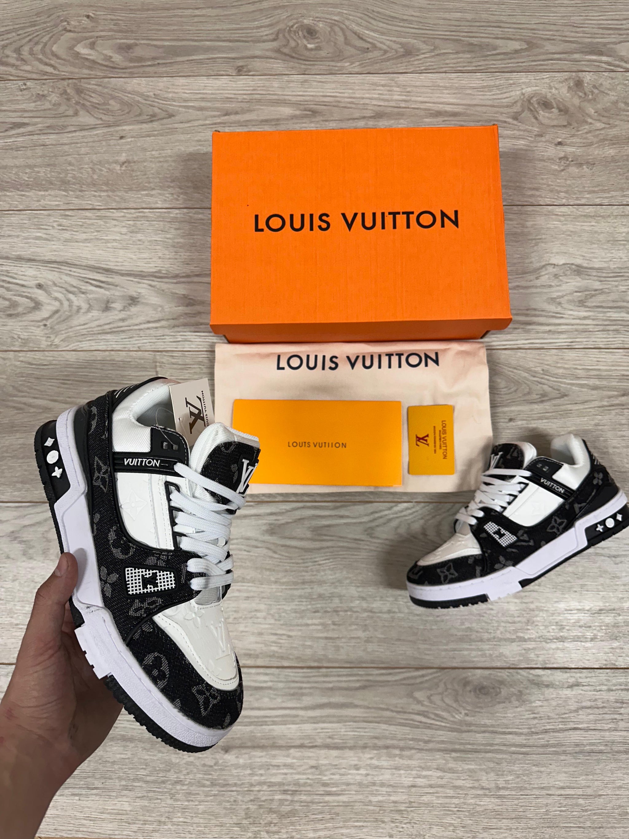 LV TRAINER