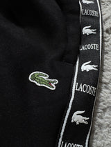 Conjunto Lacoste