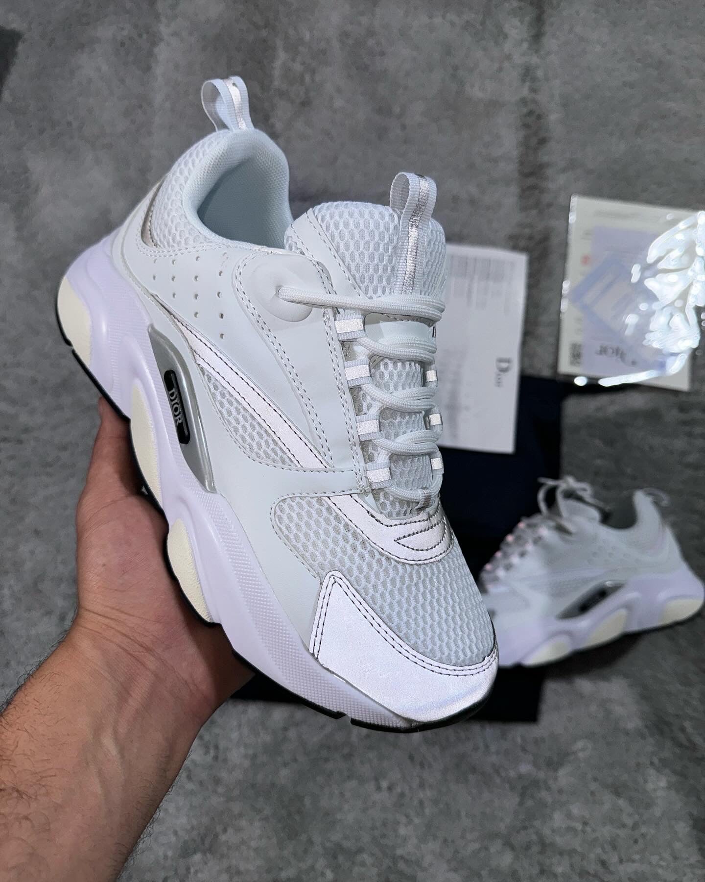 Dior B22 - White/Grey