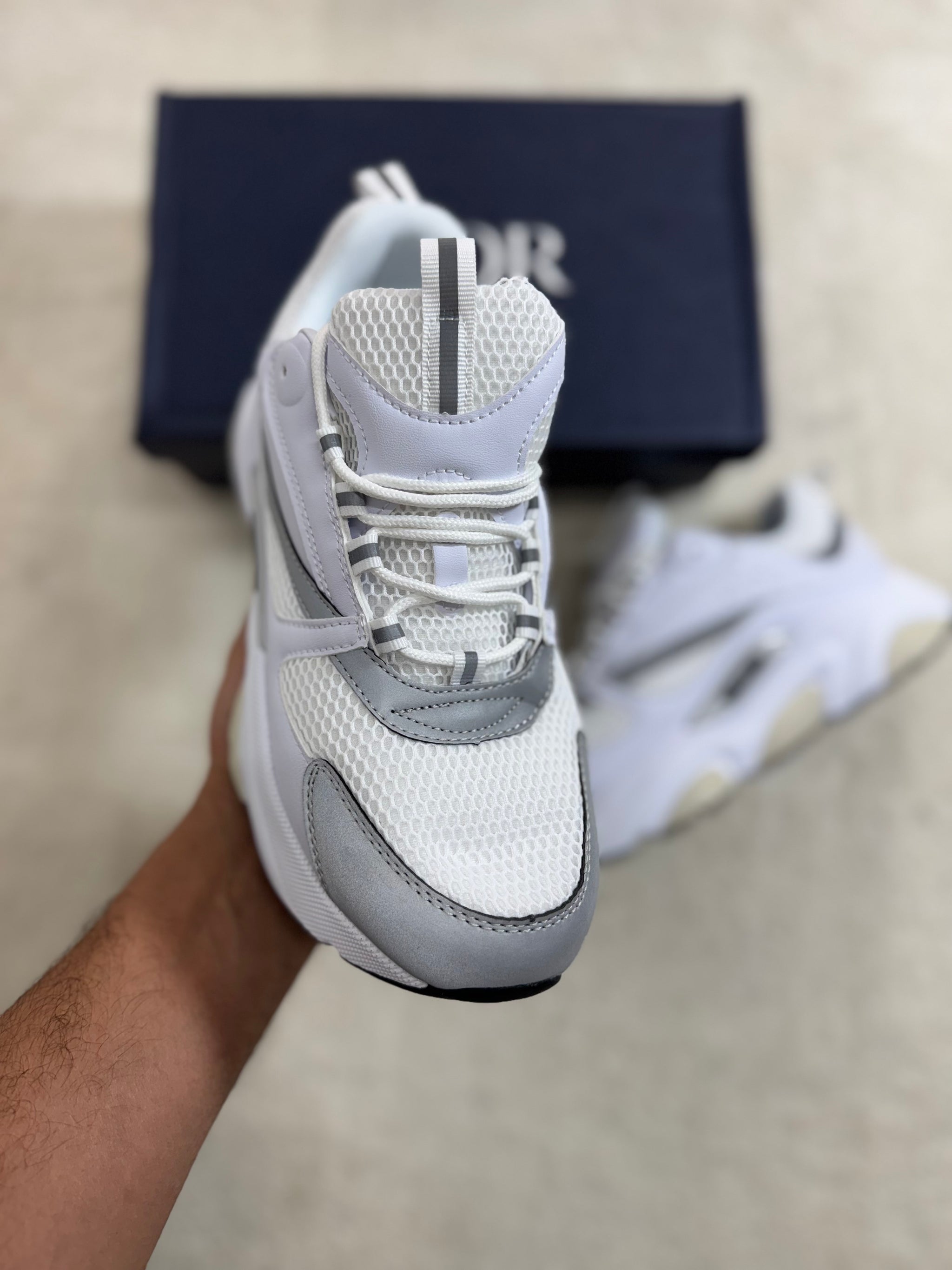 Dior B22 - White/Grey
