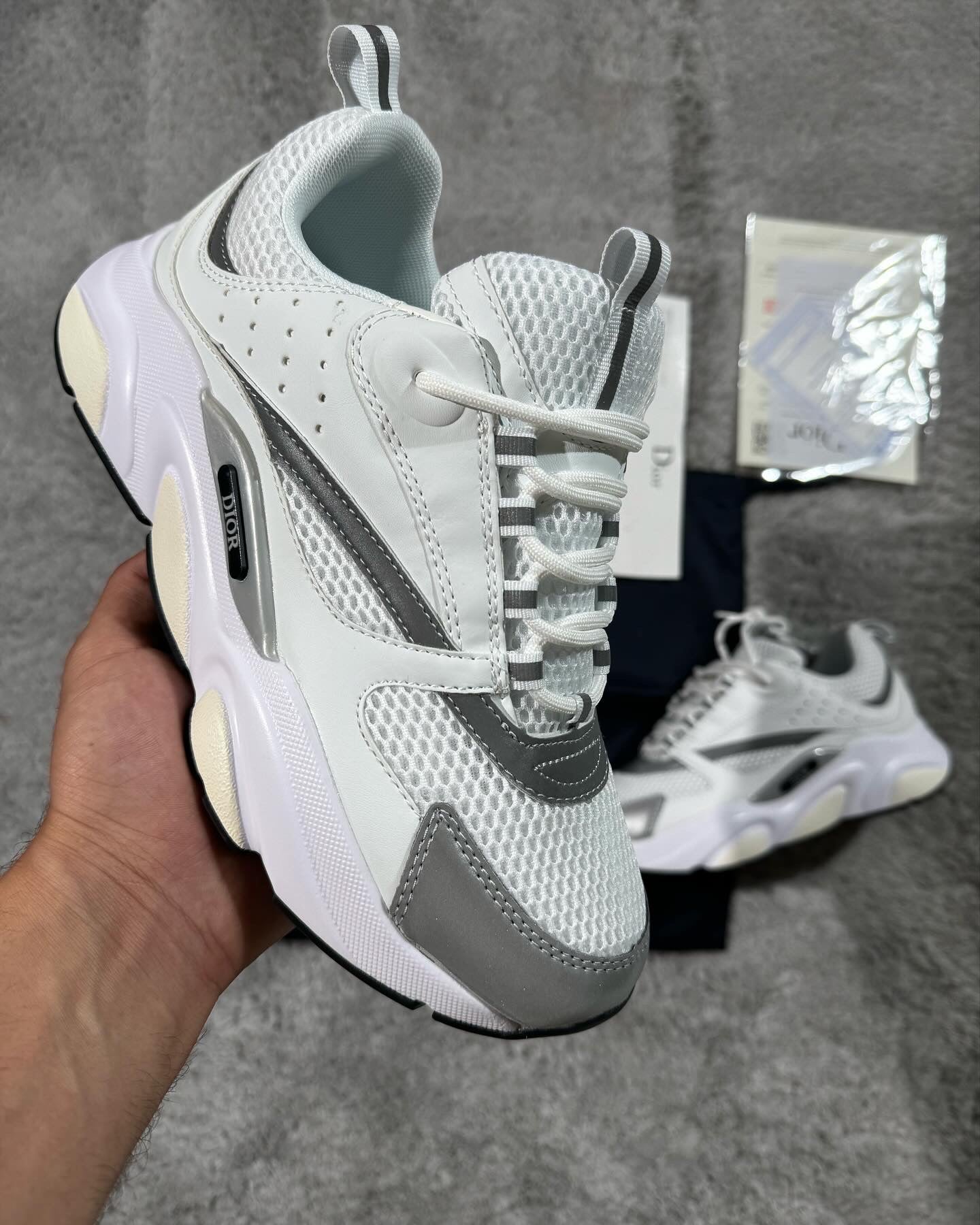 Dior B22 - White/Grey