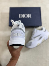 Dior B22 - White/Grey