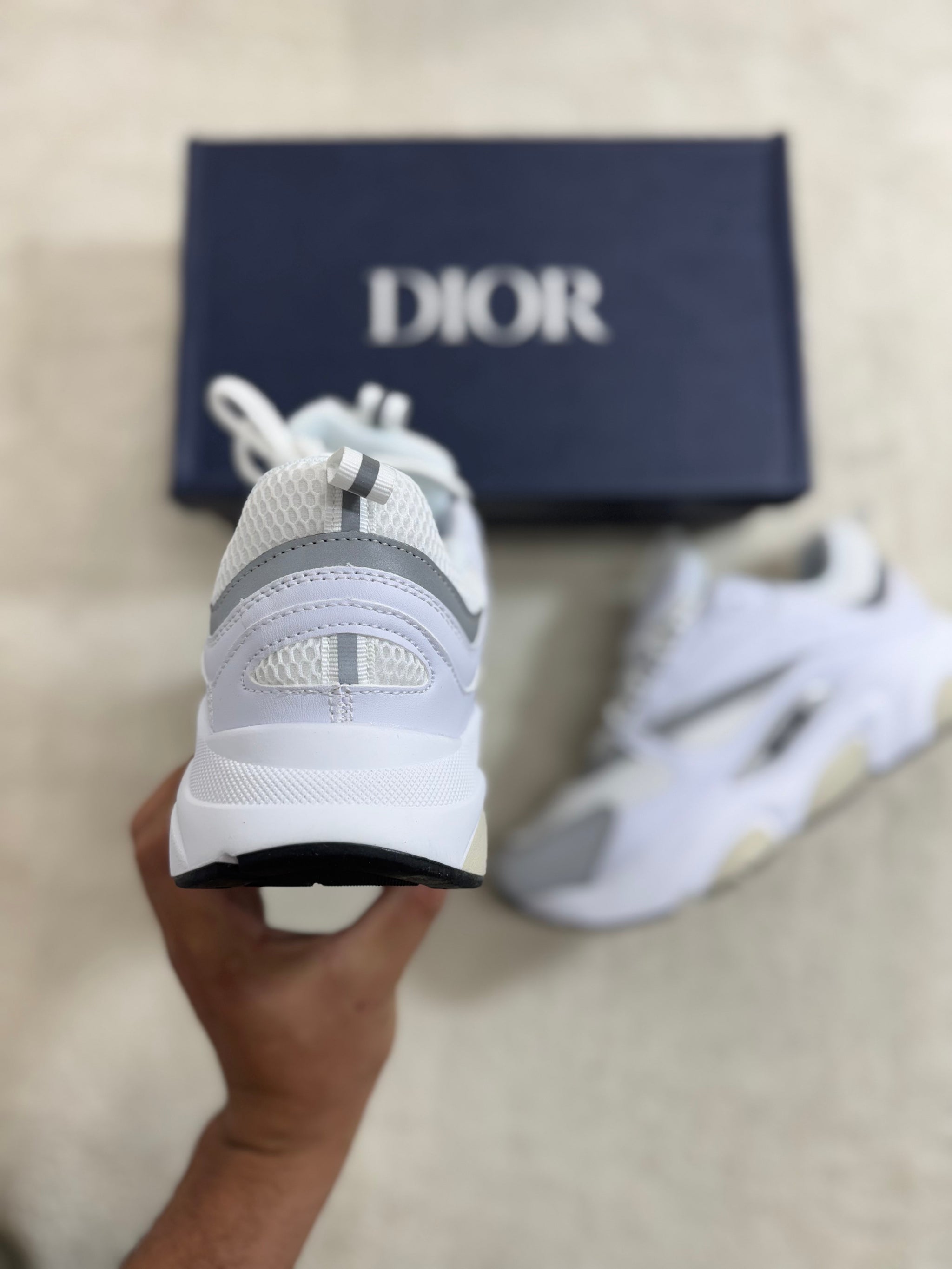 Dior B22 - White/Grey